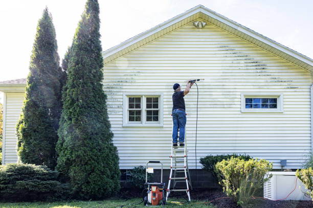 Best Roof Pressure Washing  in Sheffield Lake, OH